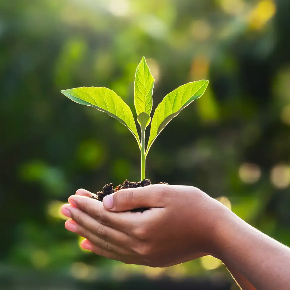 Pakiet ECO 